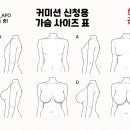 수정 이미지