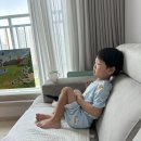 0901-0910] 재이 1336-1345:) 44개월일상 : 친구랑행복 : 참살이오토캠핑 1박2일 : 치과진료 머리이발 성공