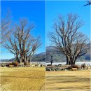 두물머리의 겨울에서 보는 팔당땜,예봉산,운길산,한국의 마테호른 백운봉(1/30). 이미지