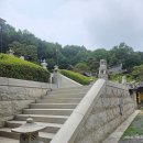 아름다운구제 | 파주 약천사 방문 후기, 심학산 둘레길과 통일약사대불을 만나는 힐링 코스