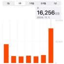 몽몽의 일상 기록 : 24.10월 (5) 10/28~11/3 : Zoom독서모임, 신촌데이트, 피곤해서 앓은 일주일.
