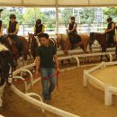 아이스포츠 이미지