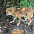 박재호농장 이미지