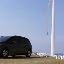 피카소 목장 이미지