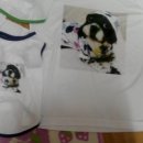 행복펜션 이미지