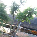 보태미농장 이미지