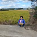 논공약국 이미지