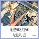 주식회사 동물의집 이미지