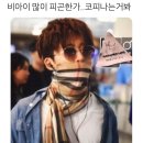 물만난물고기