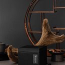 삼진당한의원 이미지