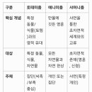 토테미즘, 애니미즘, 샤머니즘 이미지