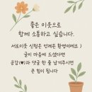 전남교육청건너편 버스승강장 옆 | [하코다테 여행] 하코다테산 야경 &amp; 다이몬 요코초 스시, 로프웨이 운행 중단 시 버스로 가는 법