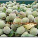 진만농장 이미지