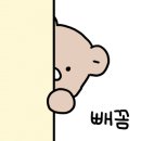 비비베이프 이미지