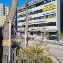 내돈내산 더벤티 수원매교힐스테이트점 오픈이벤트 더벤티퍼플텀블러 더벤티텀블러 후기 :^)