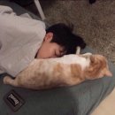 탁센먹고 기절할거야 이미지