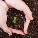 우솔한의원 이미지