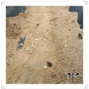 일수농약사 이미지