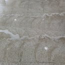 부산식당