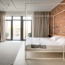 Design Dog 이미지