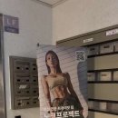 노크 프로젝트 이미지