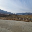 다인농장2 이미지