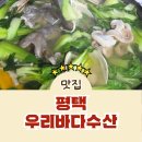 평택항 쭈꾸미 알배기 성지, 맛집 생물 쭈꾸미 샤브샤브 우리바다수산 후기