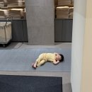 파르나스 호텔 제주 에스츄어리 | 제주여행 2 (파르나스호텔제주 조식, 제주파르나스수영장 에스츄어리풀, 협재해수욕장, 서귀포올래시장...