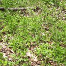 별숲 농장 이미지