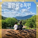 남양주 아이와 함께 가볼 만한 곳 무료 프로그램 '물 맑음 수목원' 후기