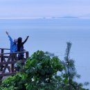 엘림민박 이미지