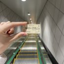[후쿠오카] 퇴사하고 떠난 일본여행, 투어버스 솔직후기 남길게요 🚏