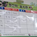 대천아구복전문 이미지