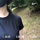 멍타 펫택시 용인·분당점 | 6월은 내 생일