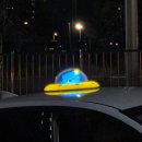 알로하펫 | [여행 기록] 대전 2박 3일 마지막 이야기