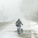 Green Colo 이미지