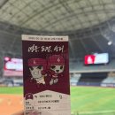 신전떡볶이신정동점 | 5/20, 키움vsSSG랜더스 (+107구역 J열 시야)