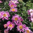 금오도별밤지기펜션 이미지