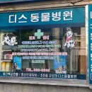 디스동물병원 이미지