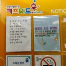 점핑고플러스