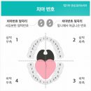 뿌리내린치과의원 네이버블로그
