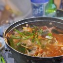 이모카세 - 동해시 | 이모카세