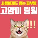 선한동물약국 이미지