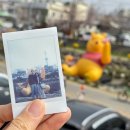 부림동 29-11 공영주차장 | 곰돌이 푸 100주년 기념 <푸크닉> 팝업 스토어 후기 &amp; 대전 소제동 벚꽃 나들이. (2026. 3. 29.)