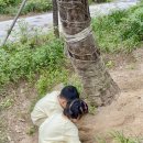 팔팔활어회팔팔물회 이미지