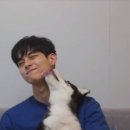 개꿀 이미지