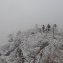 천왕봉산장앞 이미지