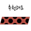 싸움의고수춘천 이미지