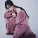 베어문스 이미지