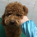 띵동 이미지